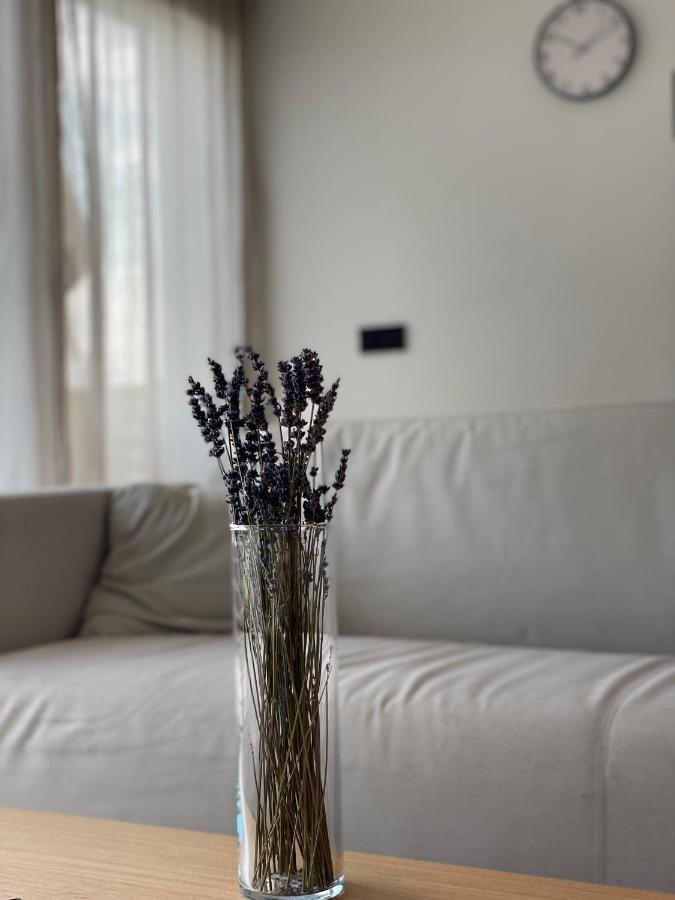 טורקהיים Roemer Apartment Und Zimmer מראה חיצוני תמונה